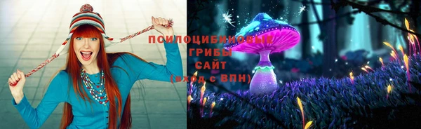 спиды Аркадак