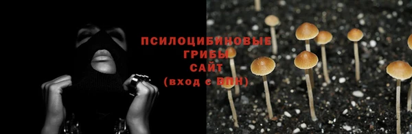 ешки Армянск