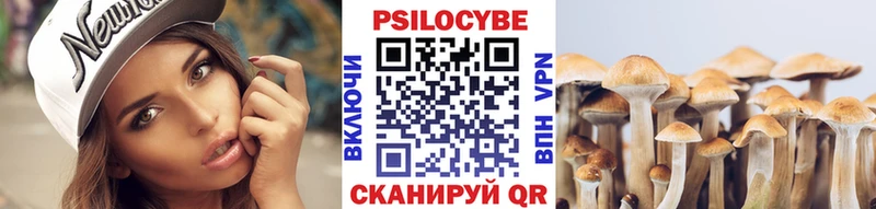 Псилоцибиновые грибы MAGIC MUSHROOMS  Реутов 